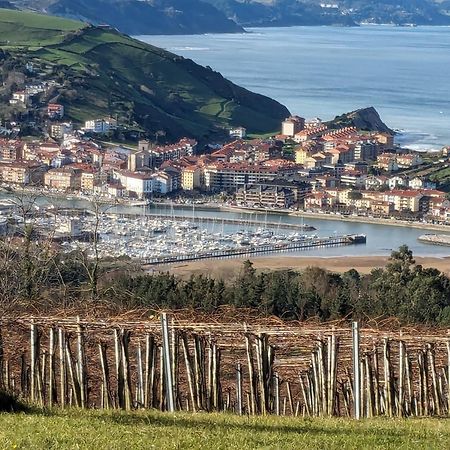 Zumaia Basque Alai Apartment Bagian luar foto
